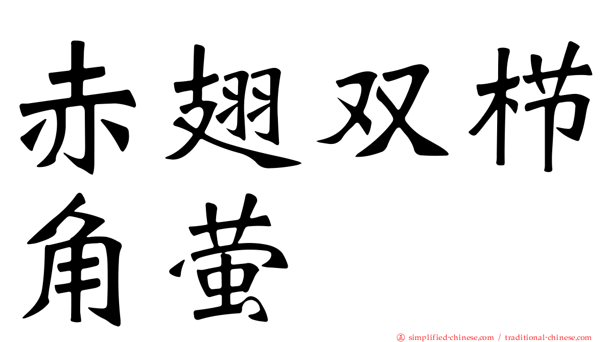 赤翅双栉角萤