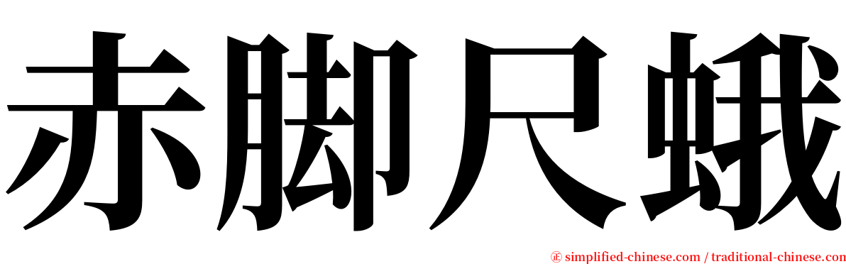 赤脚尺蛾 serif font