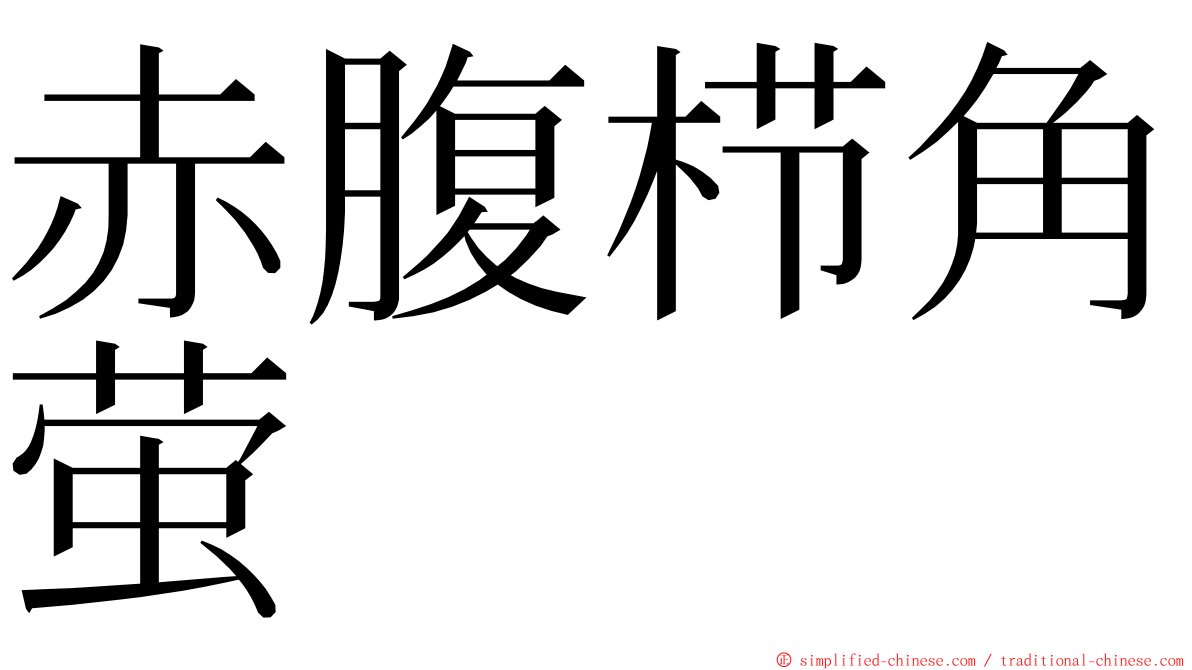 赤腹栉角萤 ming font