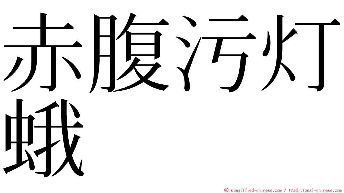 赤腹污灯蛾 ming font