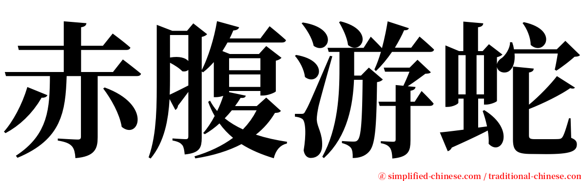 赤腹游蛇 serif font