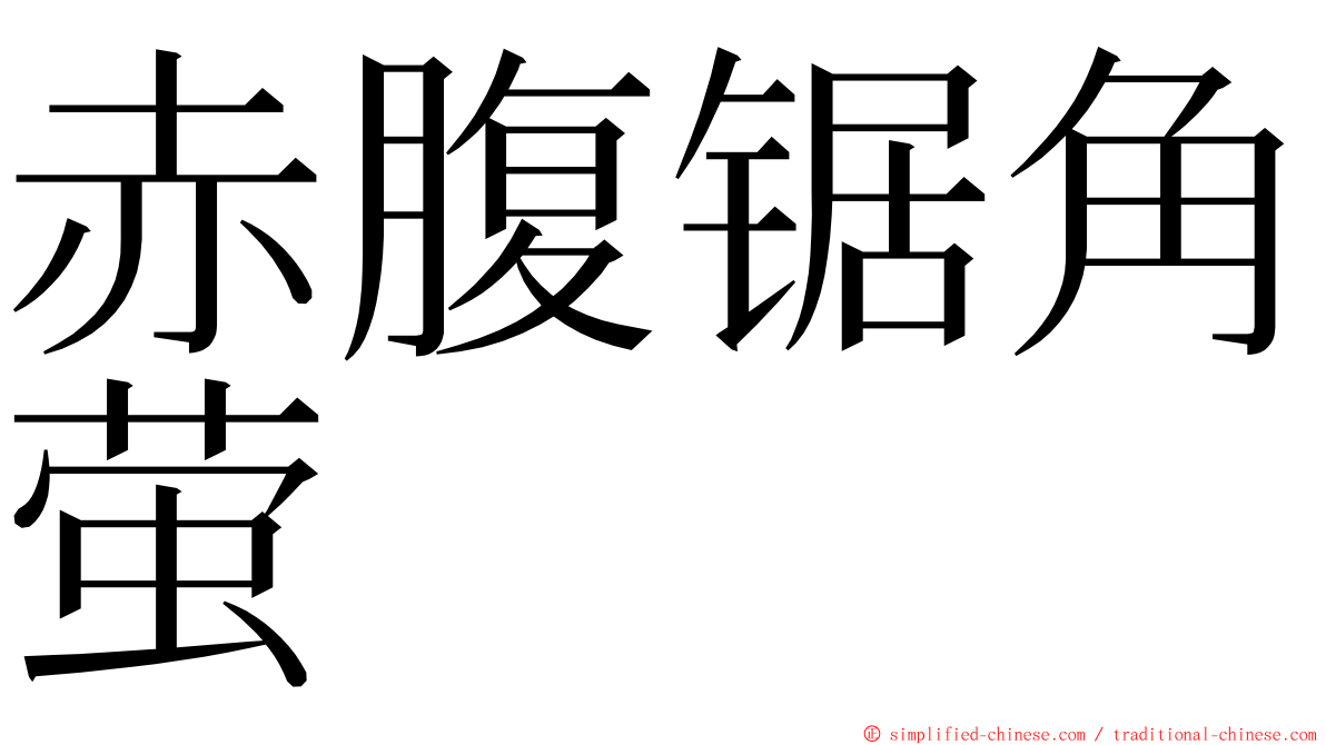 赤腹锯角萤 ming font