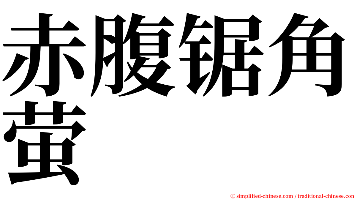 赤腹锯角萤 serif font