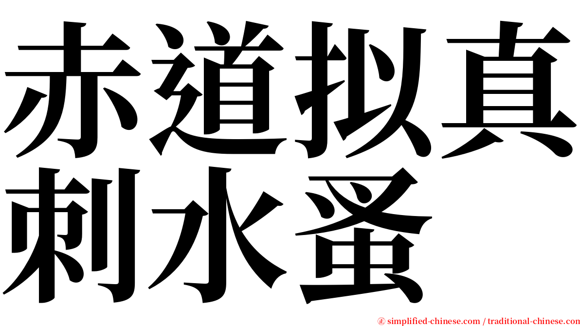 赤道拟真刺水蚤 serif font