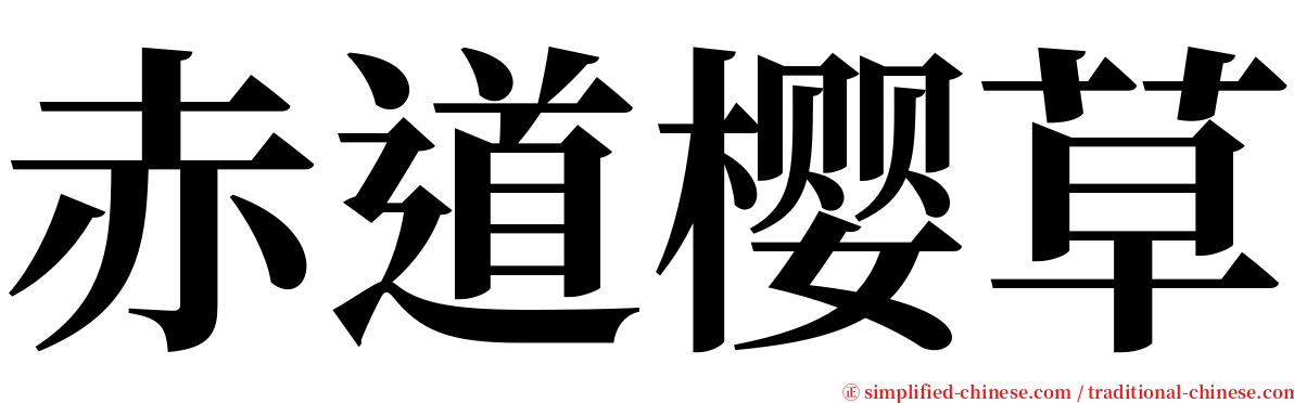 赤道樱草 serif font