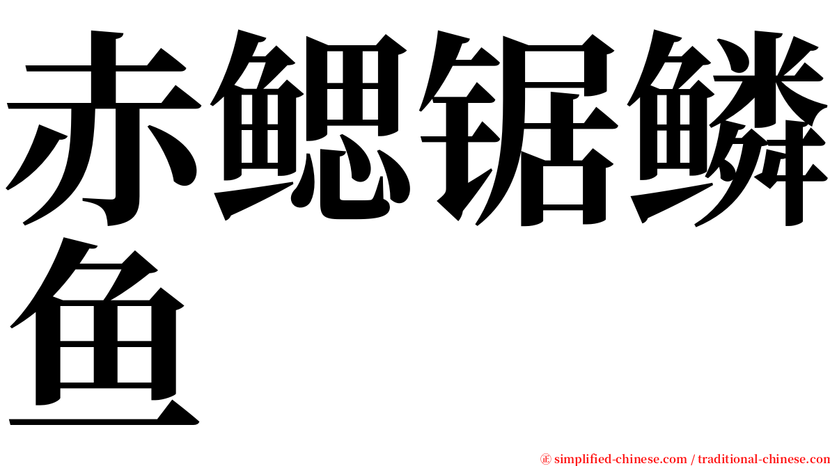 赤鳃锯鳞鱼 serif font