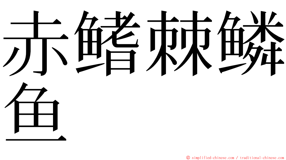 赤鳍棘鳞鱼 ming font