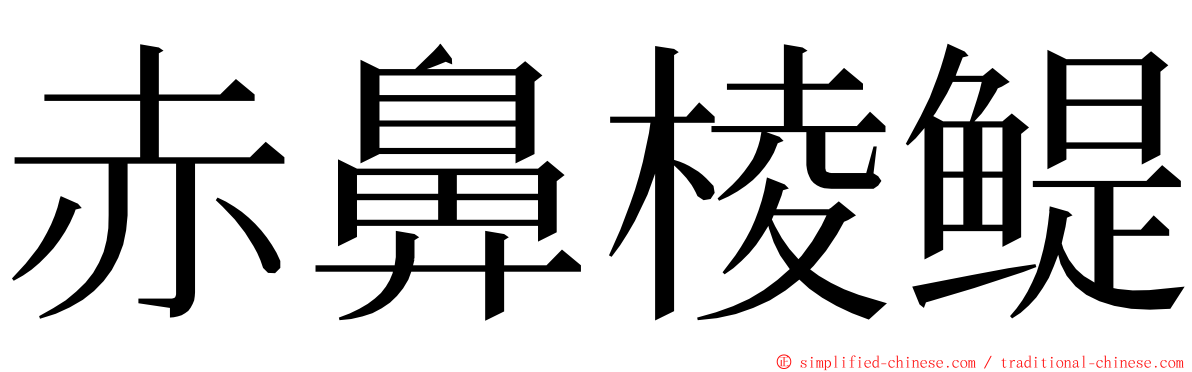 赤鼻棱鳀 ming font