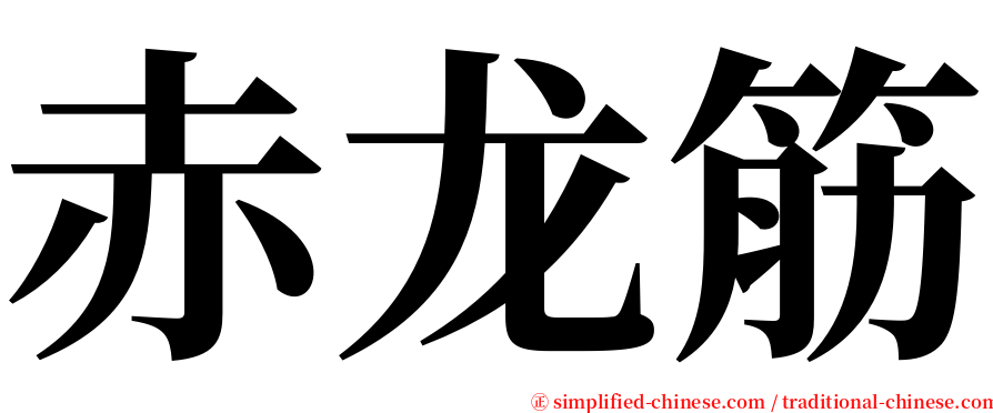 赤龙筋 serif font