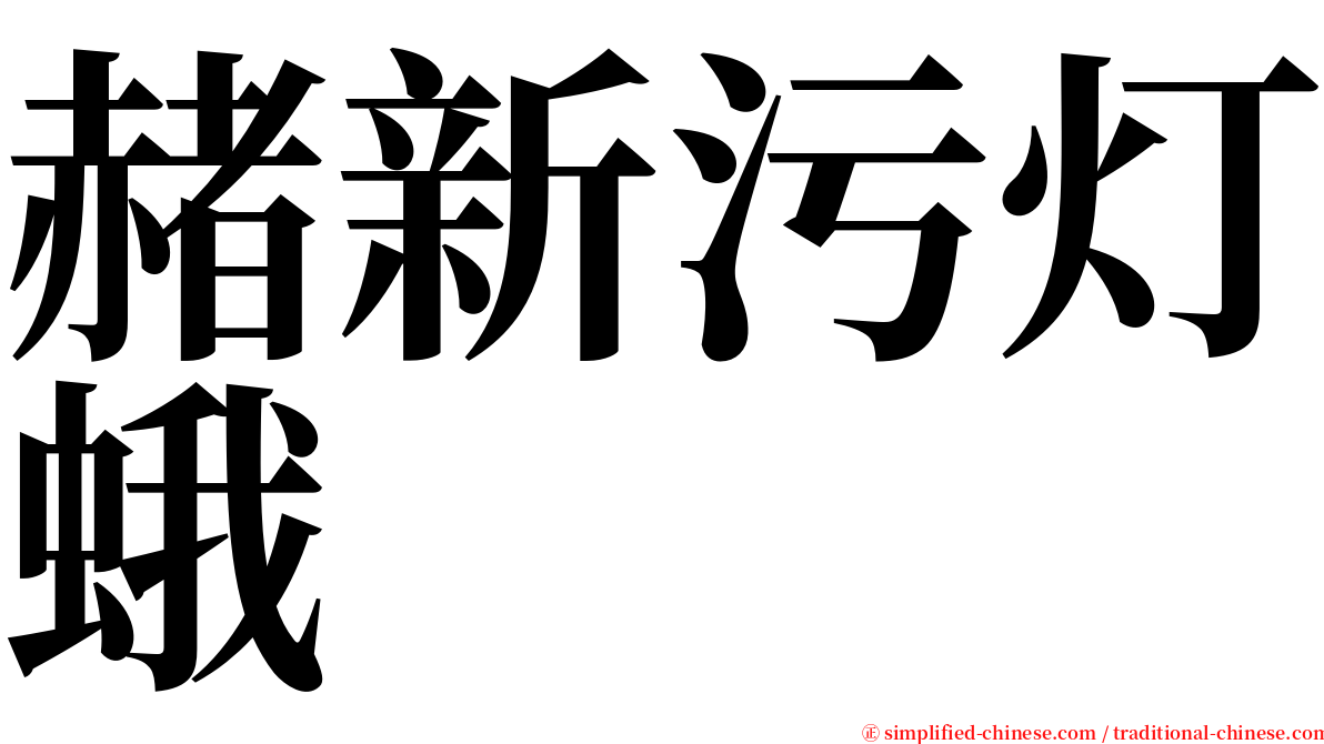 赭新污灯蛾 serif font