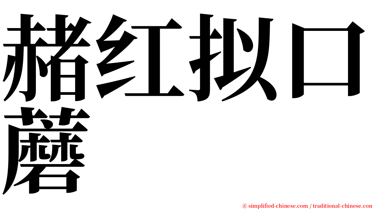 赭红拟口蘑 serif font