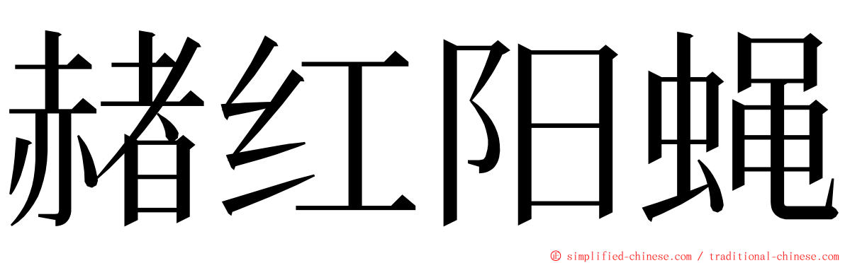 赭红阳蝇 ming font