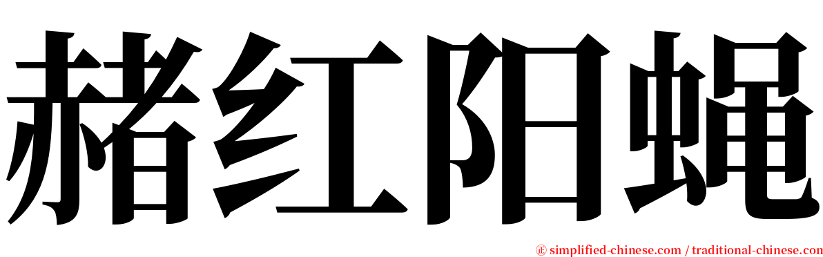 赭红阳蝇 serif font