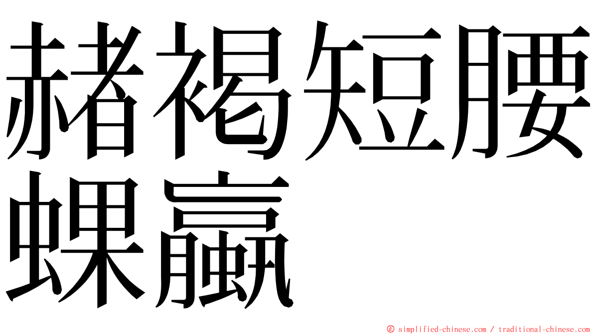 赭褐短腰蜾蠃 ming font