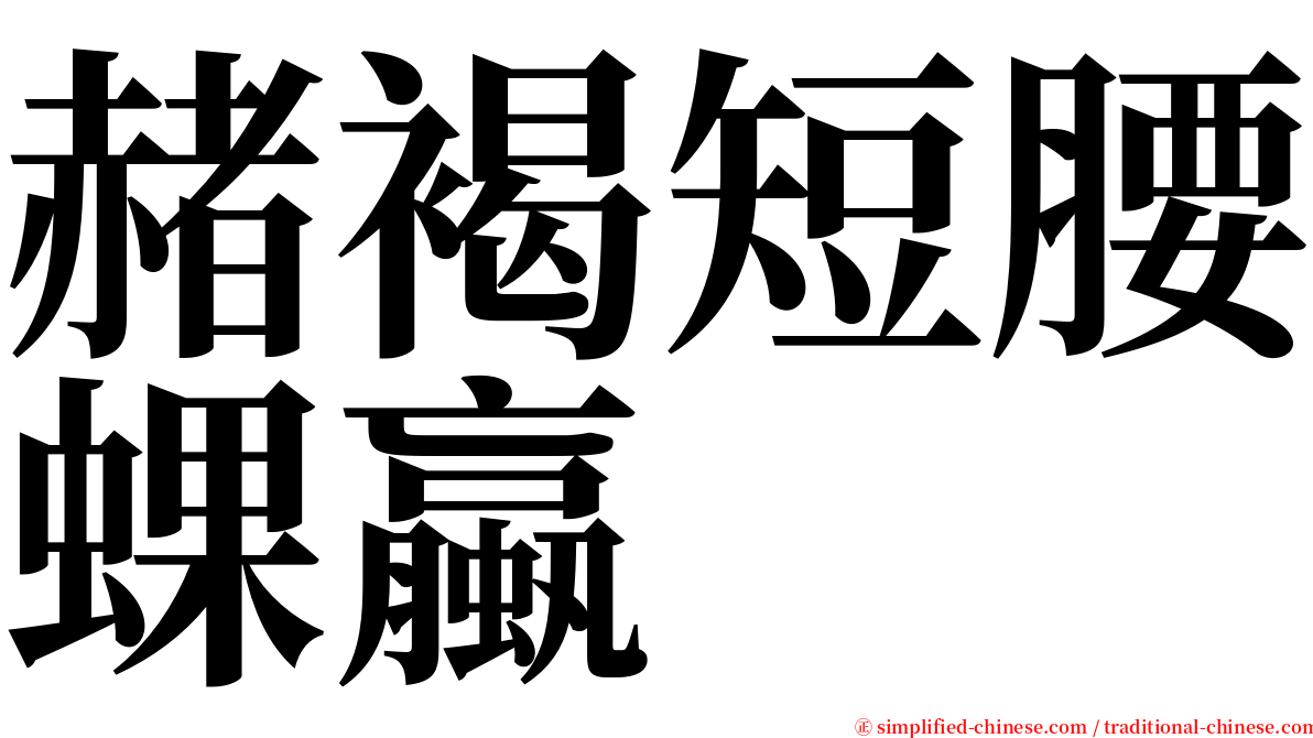 赭褐短腰蜾蠃 serif font