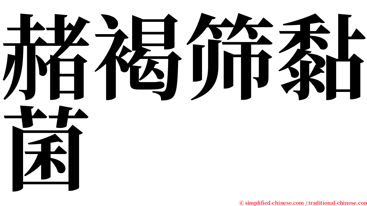 赭褐筛黏菌 serif font