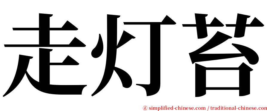 走灯苔 serif font