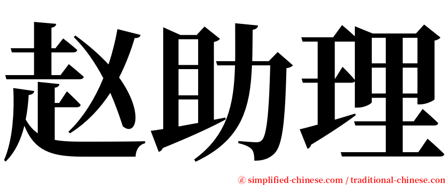 赵助理 serif font