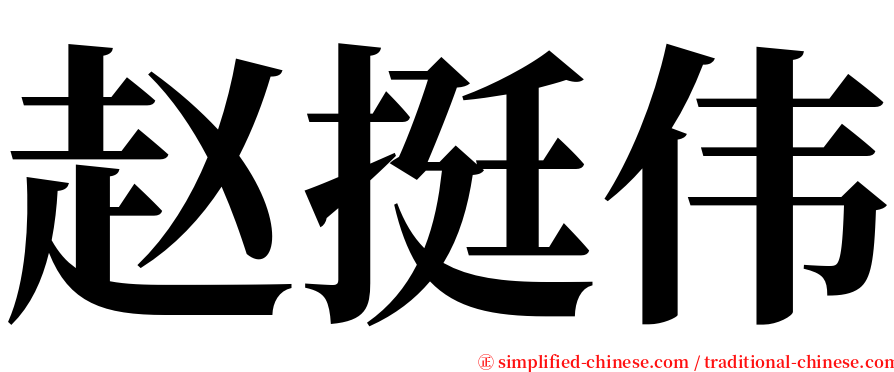 赵挺伟 serif font