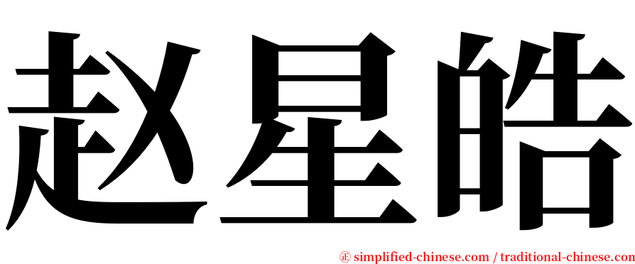 赵星皓 serif font