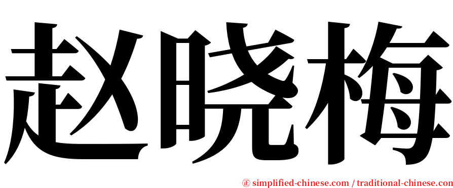 赵晓梅 serif font