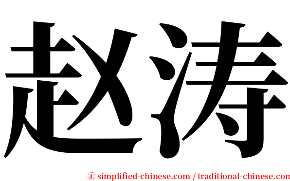 赵涛 serif font