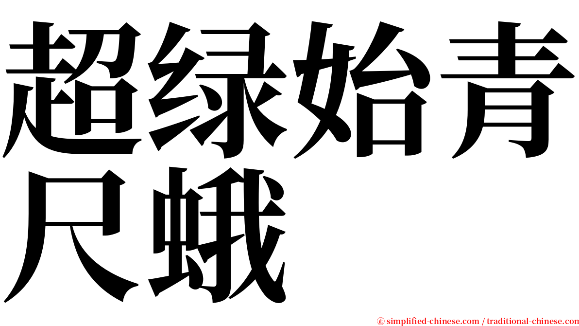 超绿始青尺蛾 serif font