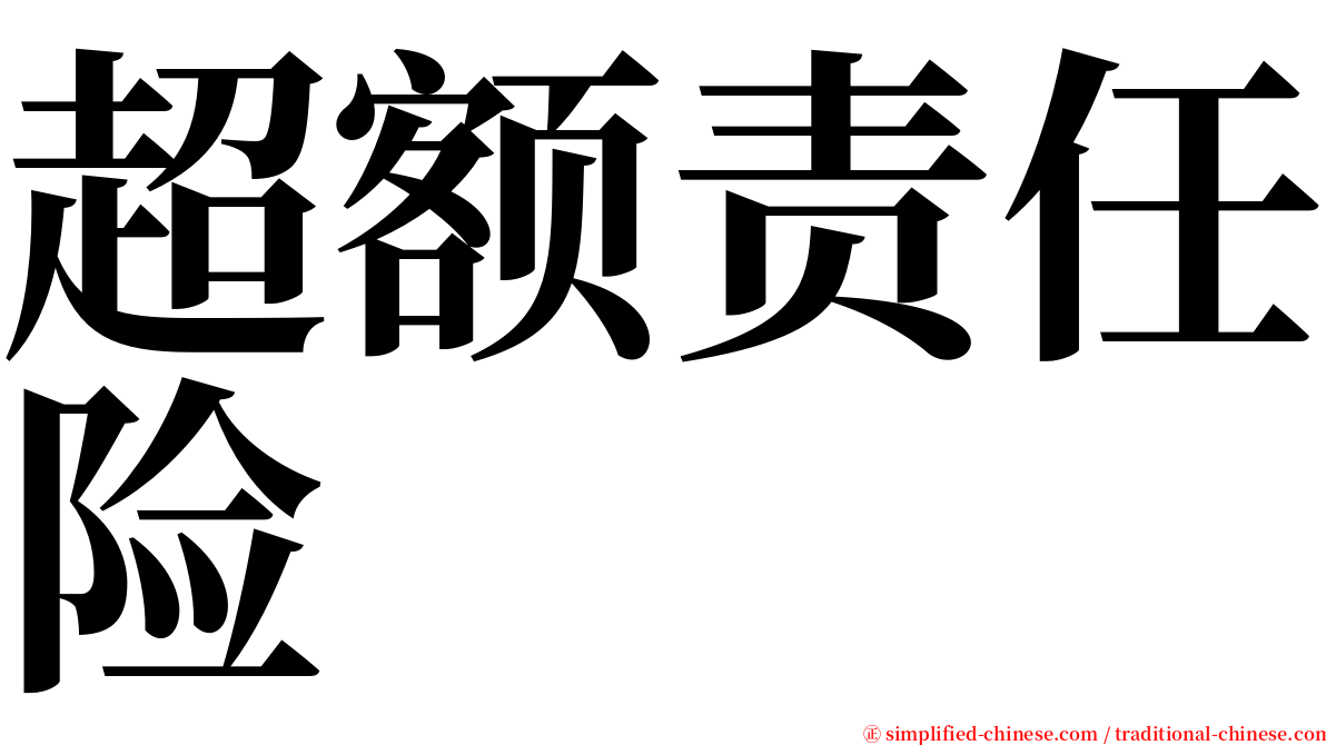 超额责任险 serif font