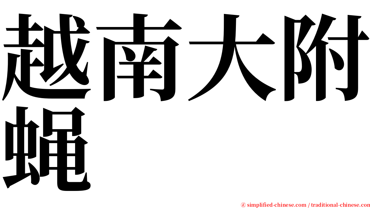 越南大附蝇 serif font