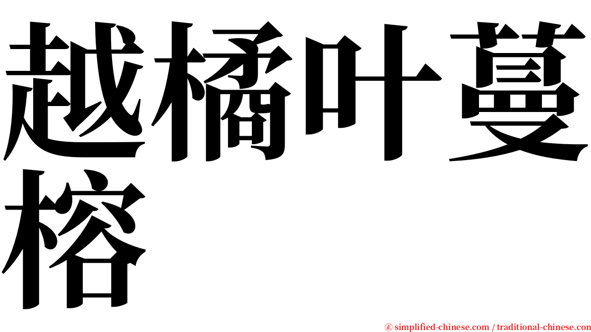 越橘叶蔓榕 serif font