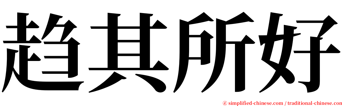 趋其所好 serif font