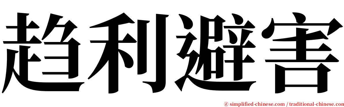 趋利避害 serif font