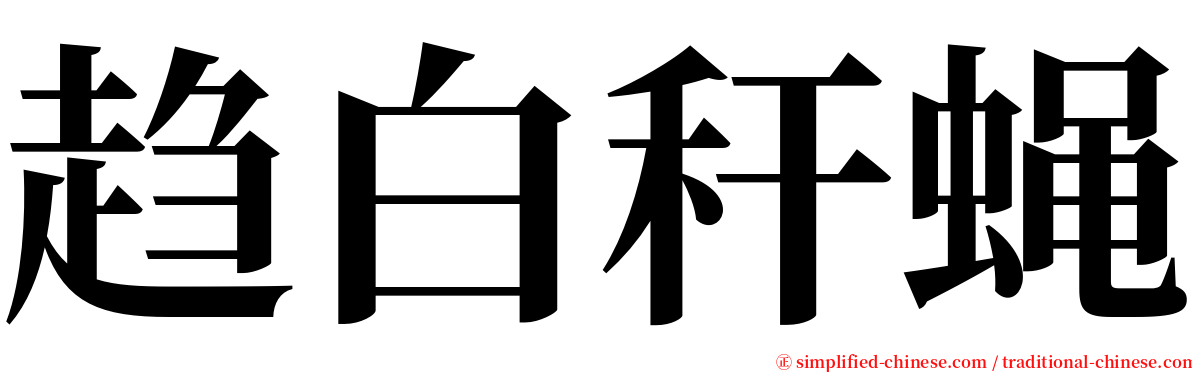 趋白秆蝇 serif font