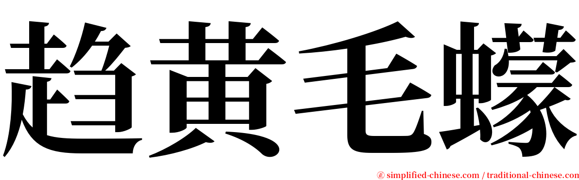 趋黄毛蠓 serif font