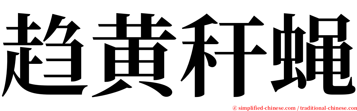 趋黄秆蝇 serif font