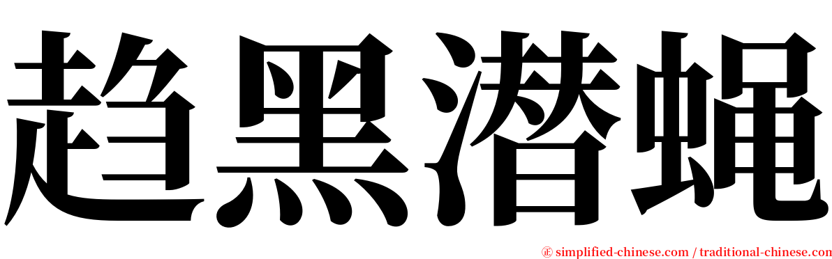 趋黑潜蝇 serif font