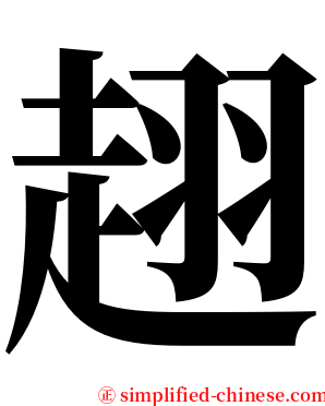 趐 serif font