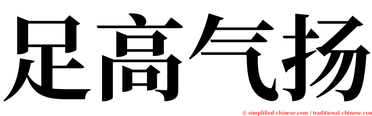 足高气扬 serif font