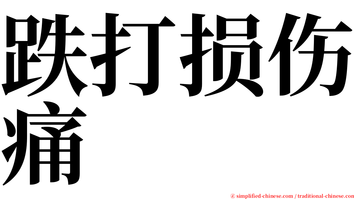 跌打损伤痛 serif font