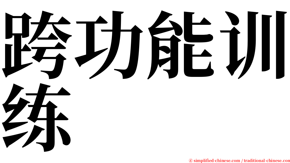 跨功能训练 serif font