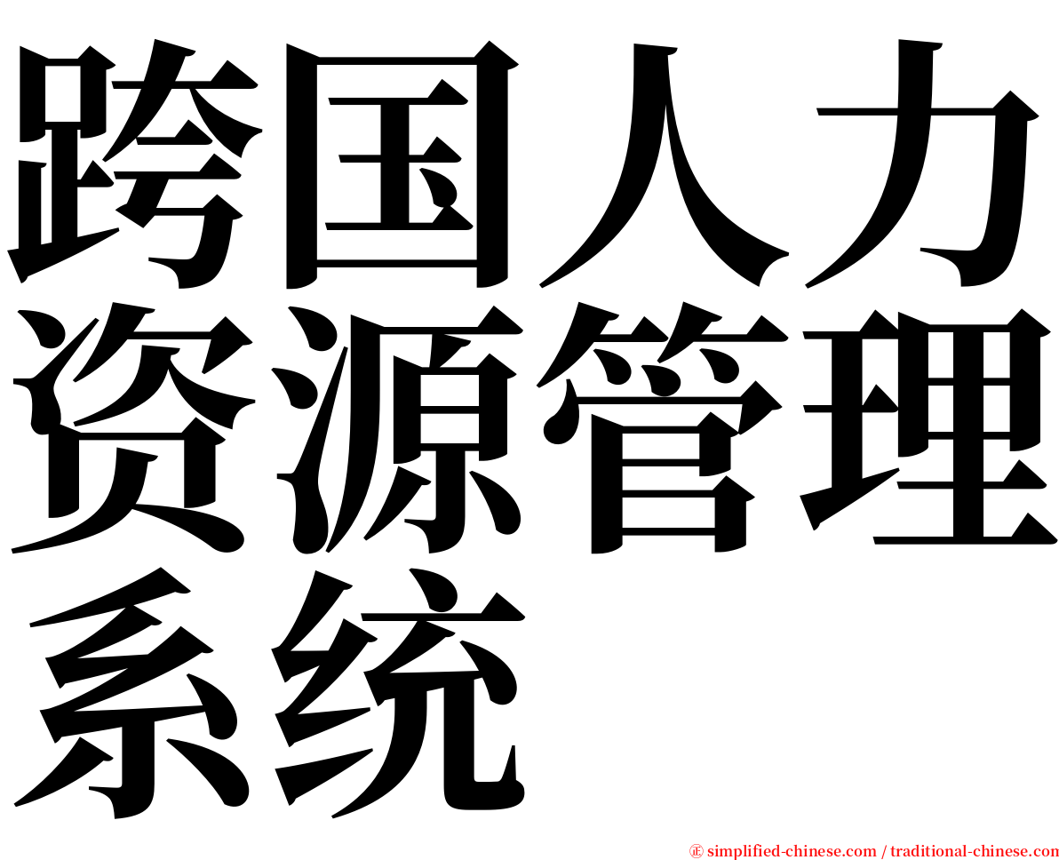 跨国人力资源管理系统 serif font