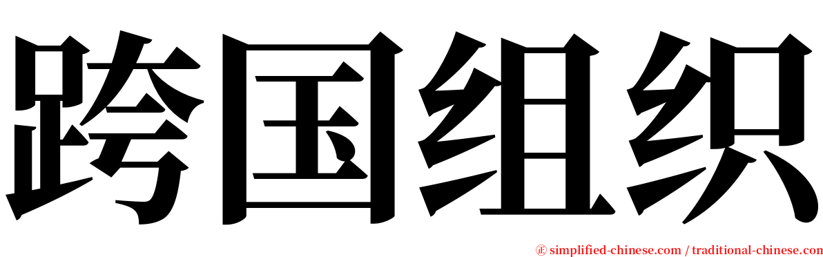 跨国组织 serif font