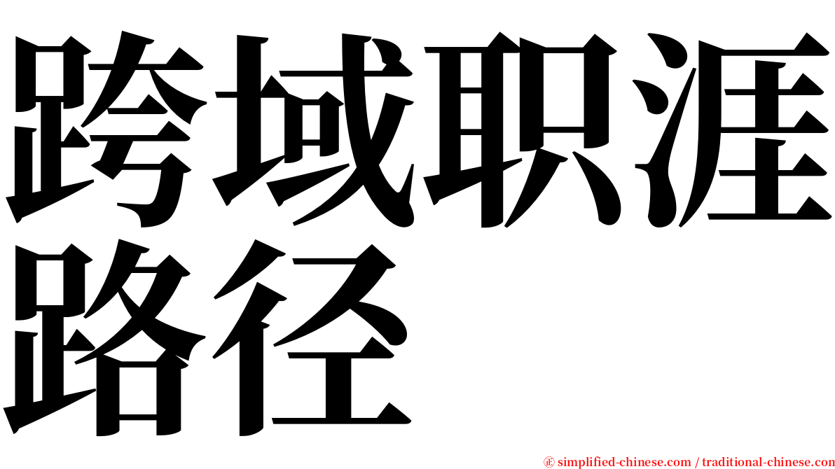 跨域职涯路径 serif font