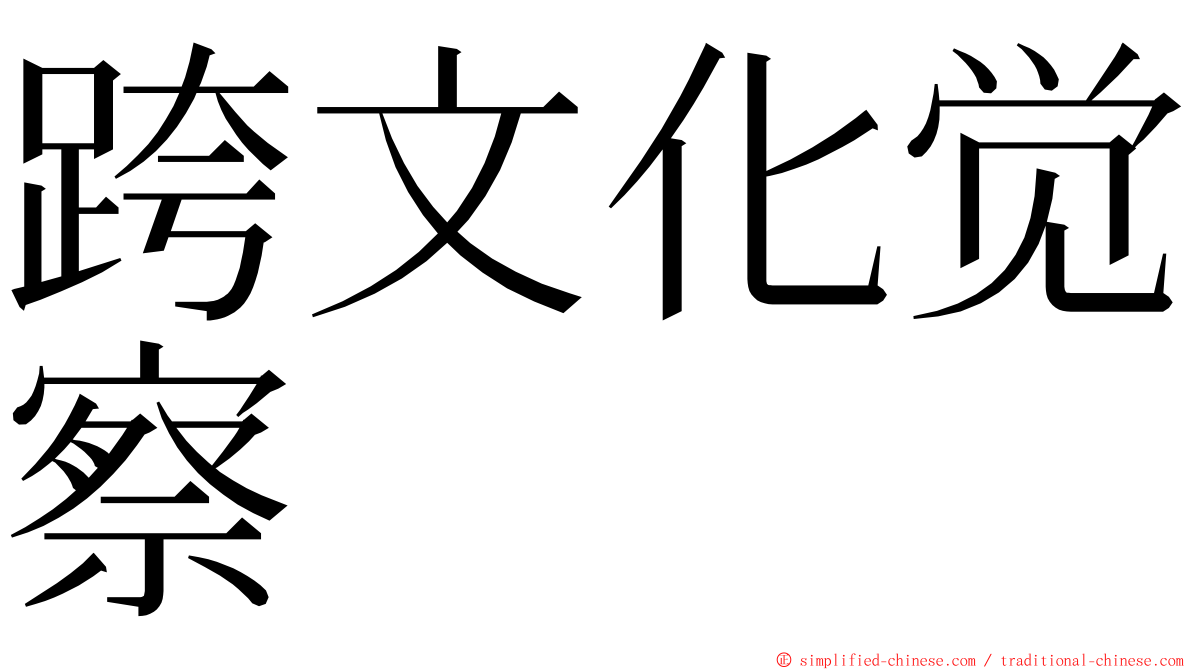 跨文化觉察 ming font