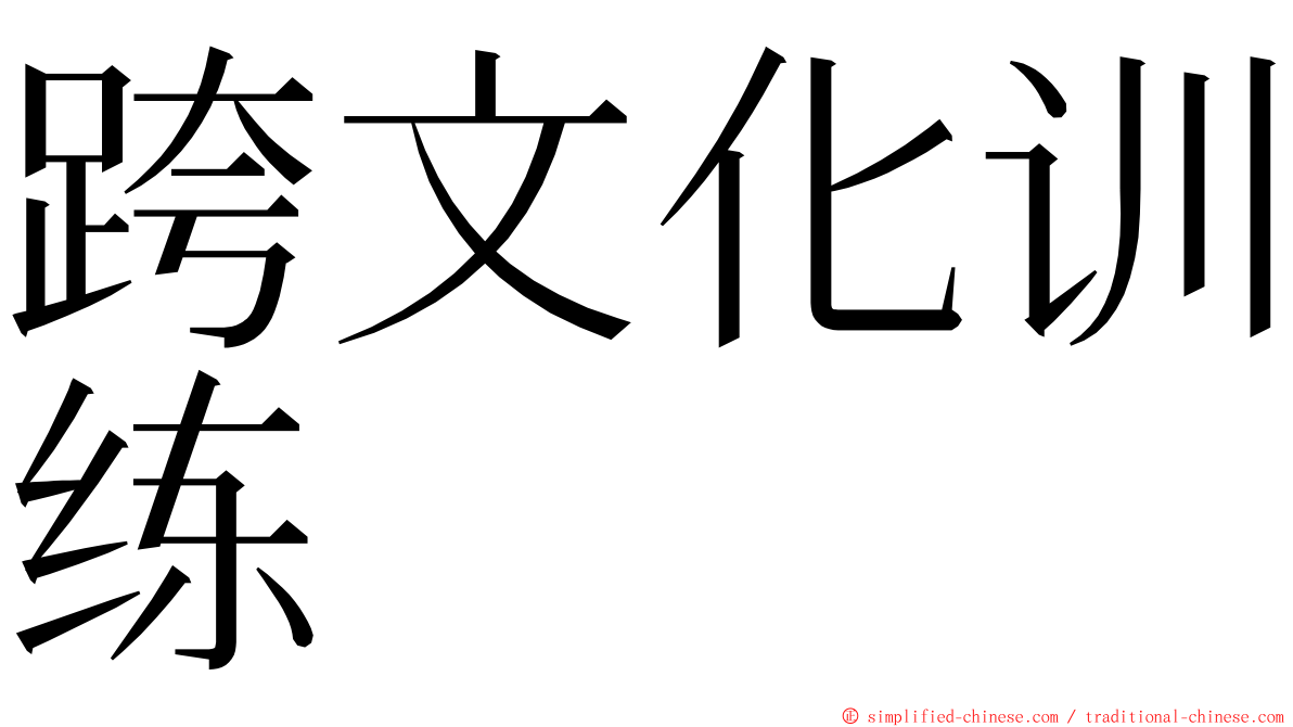 跨文化训练 ming font