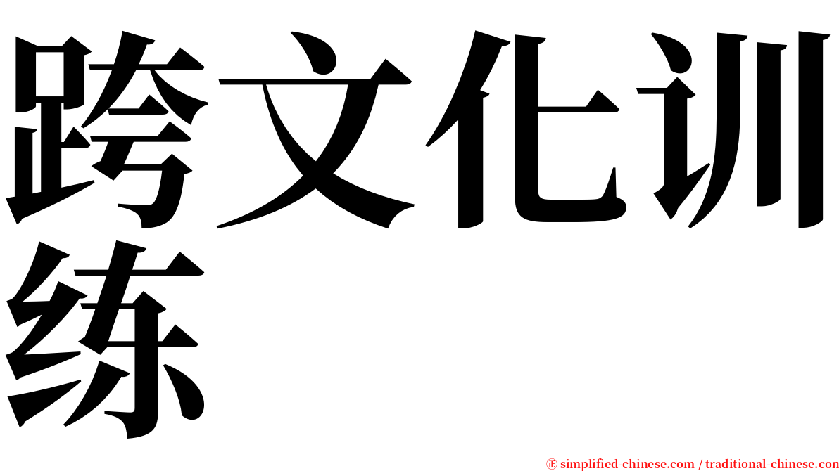 跨文化训练 serif font