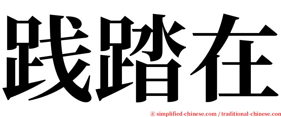 践踏在 serif font