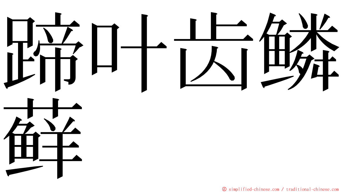 蹄叶齿鳞藓 ming font