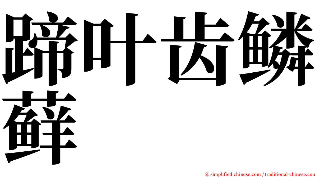 蹄叶齿鳞藓 serif font