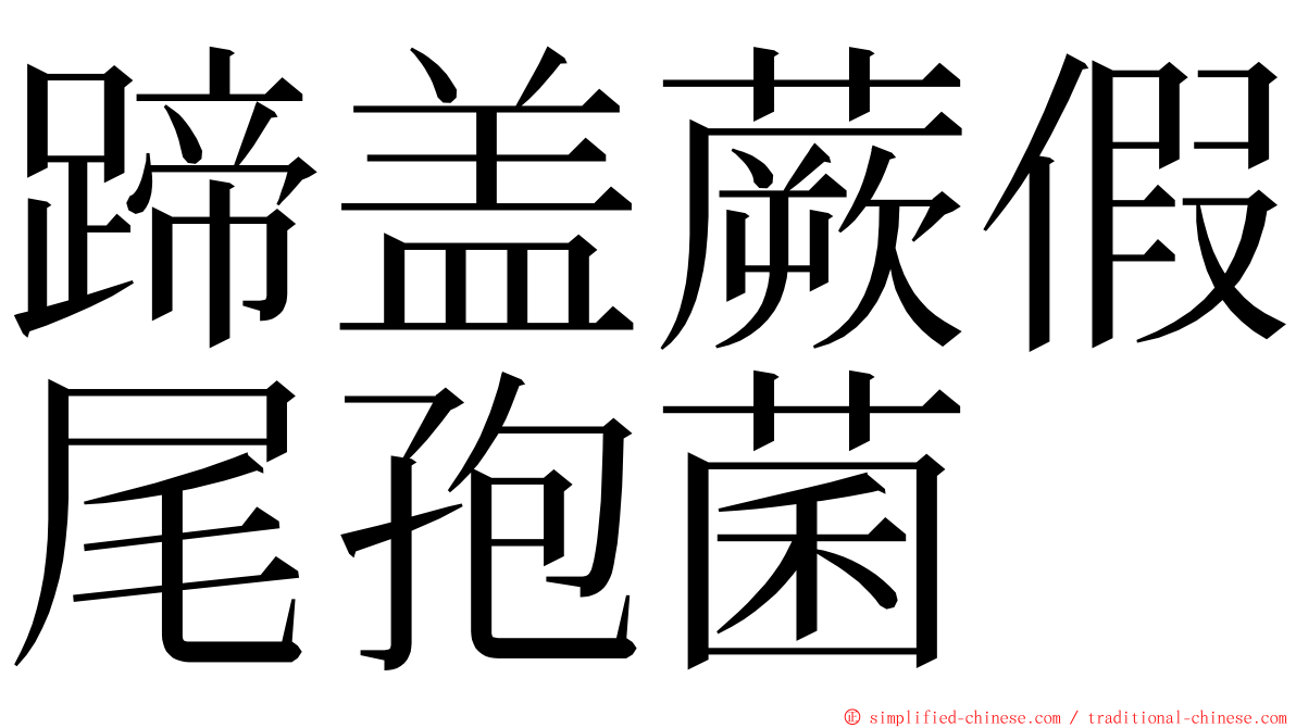 蹄盖蕨假尾孢菌 ming font